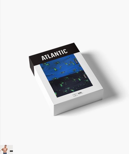 Боксеры мужские  Atlantic 2MHH-006 (2 шт) 2mhh-006-2-sht-temno-syni-ta-temno-blakytni фото