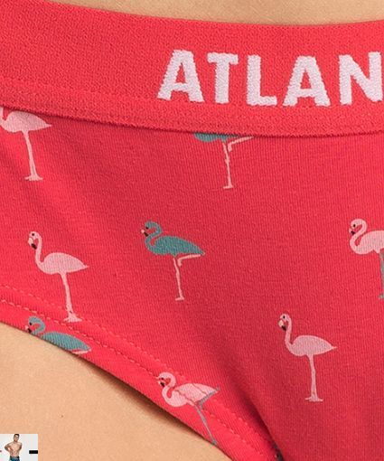 ТРУСИ ЖІНОЧІ ATLANTIC ХІПСТЕР БАВОВНА (НАБІР 3 ТРЬОХ ОД.) 3LP-180_ROZ/KOR/ZIE 3LP-180_ROZ/KOR/ZIE_S фото